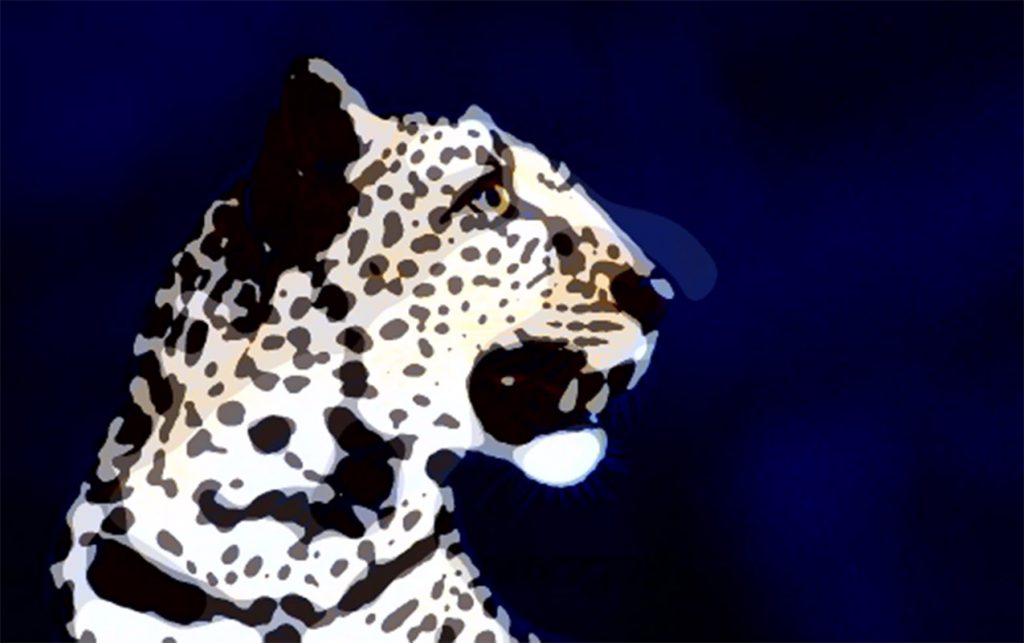 iilustration-51