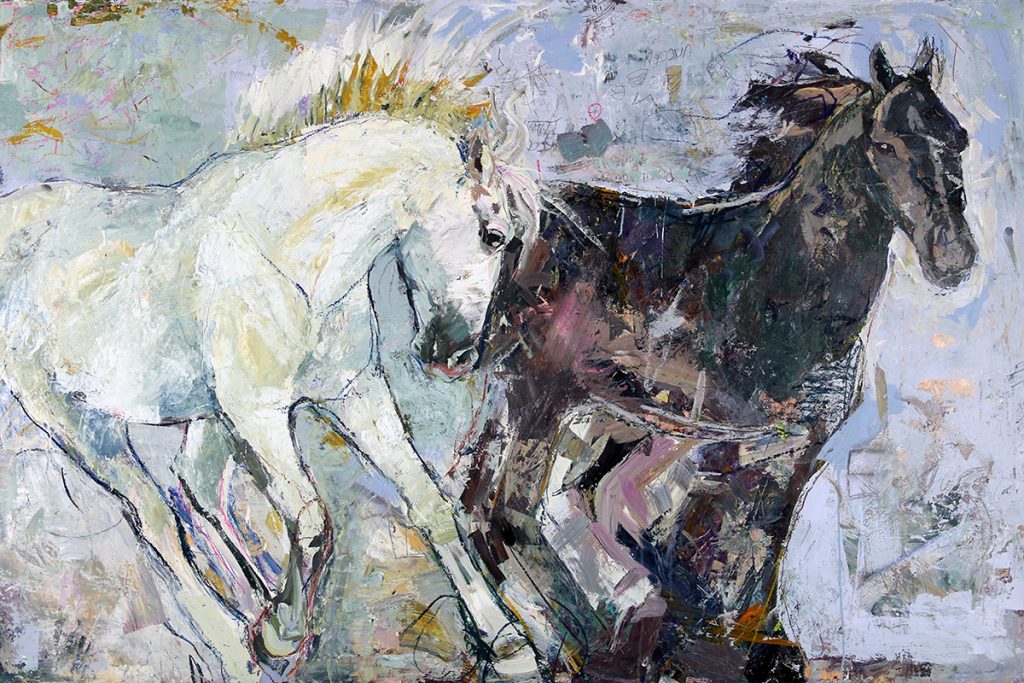 equus j_D size 48×72